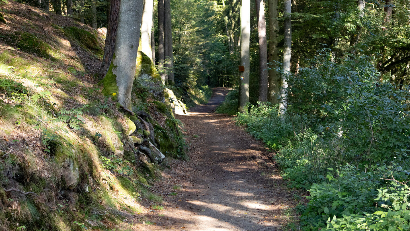 Wanderweg zum Altschlossfelsen bei Eppenbrunn