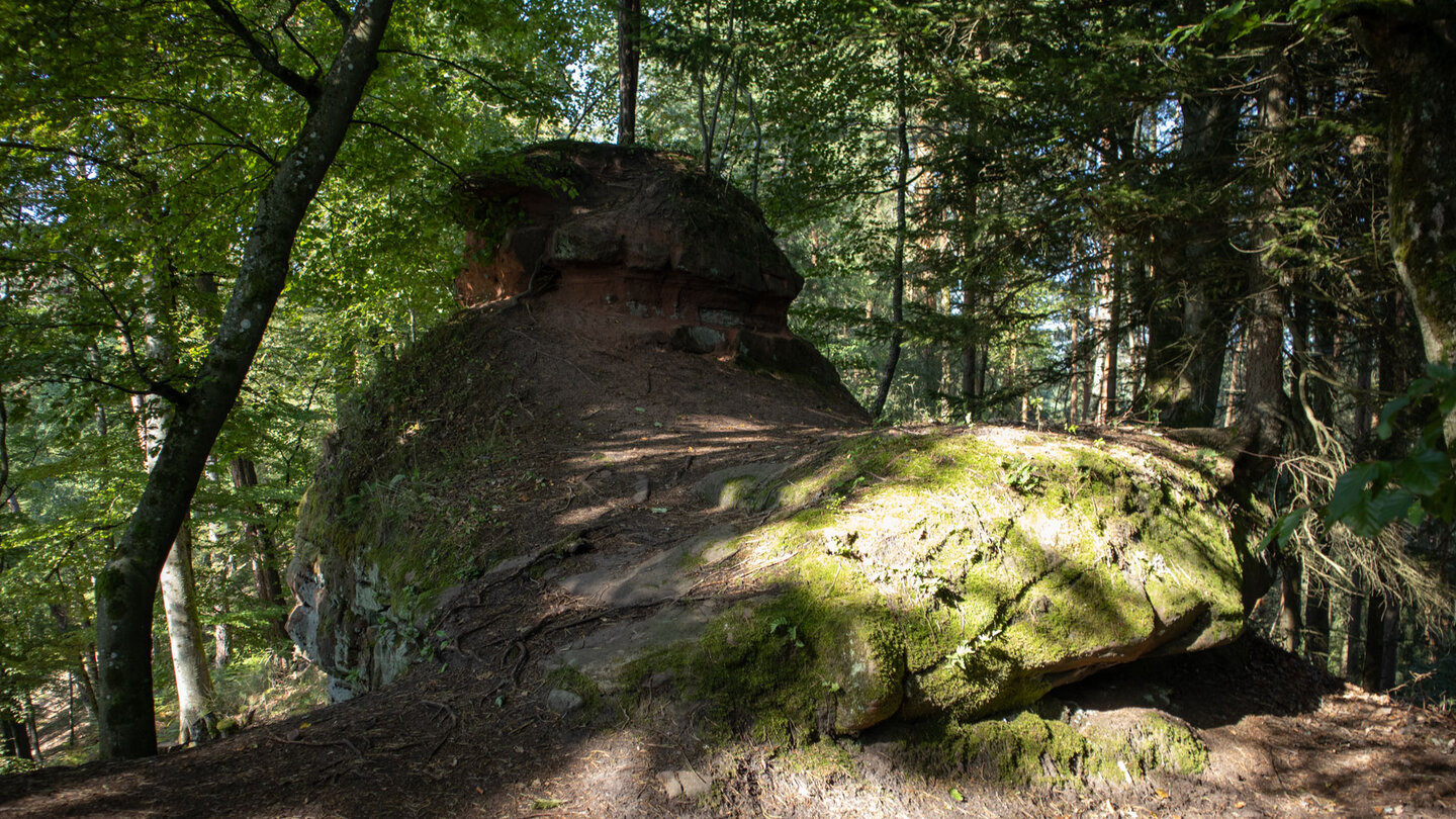 Fels auf dem Weg zum Eppenbrunner Teufelstisch