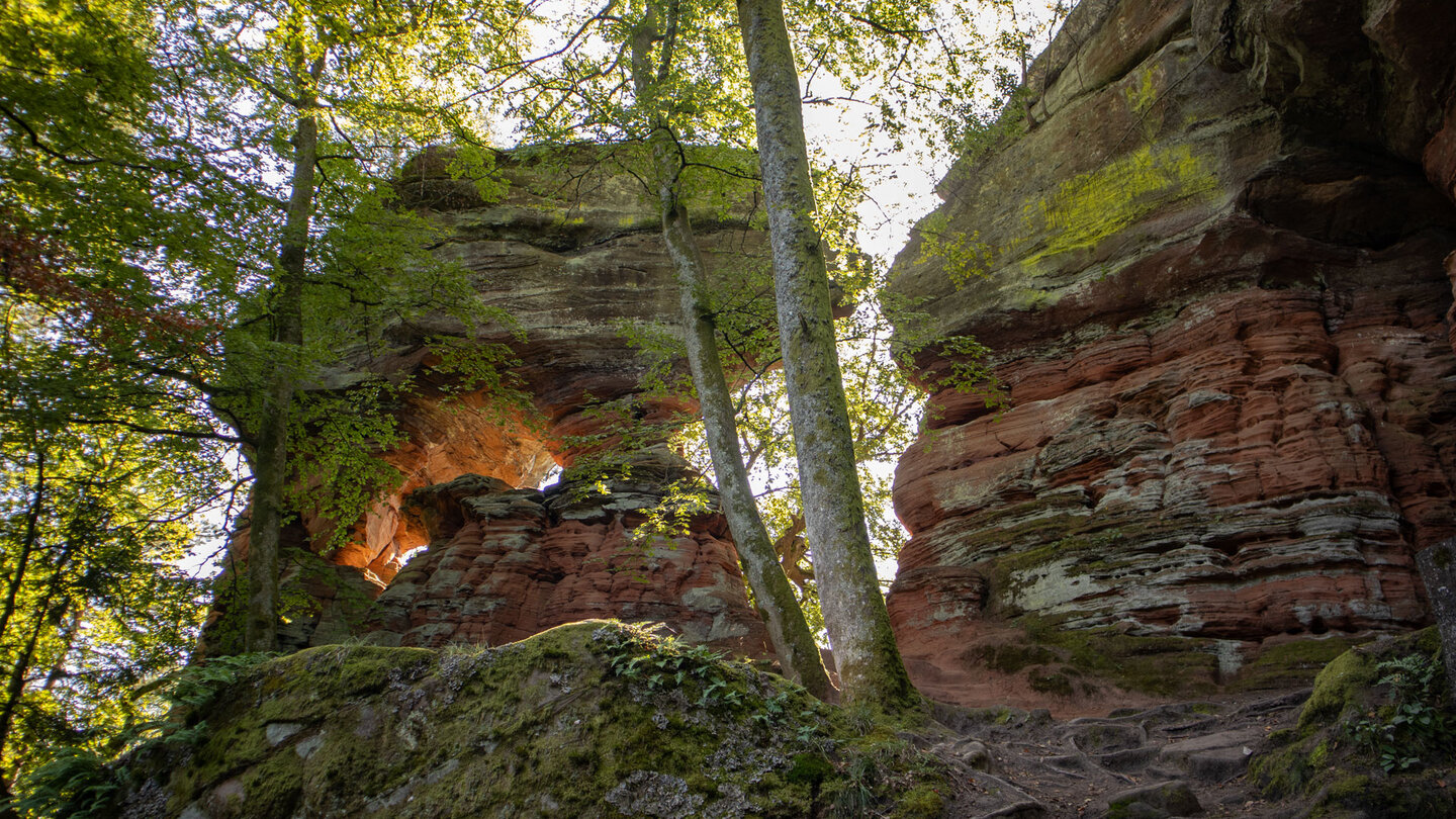 Wanderweg entlang Altschlossfelsen