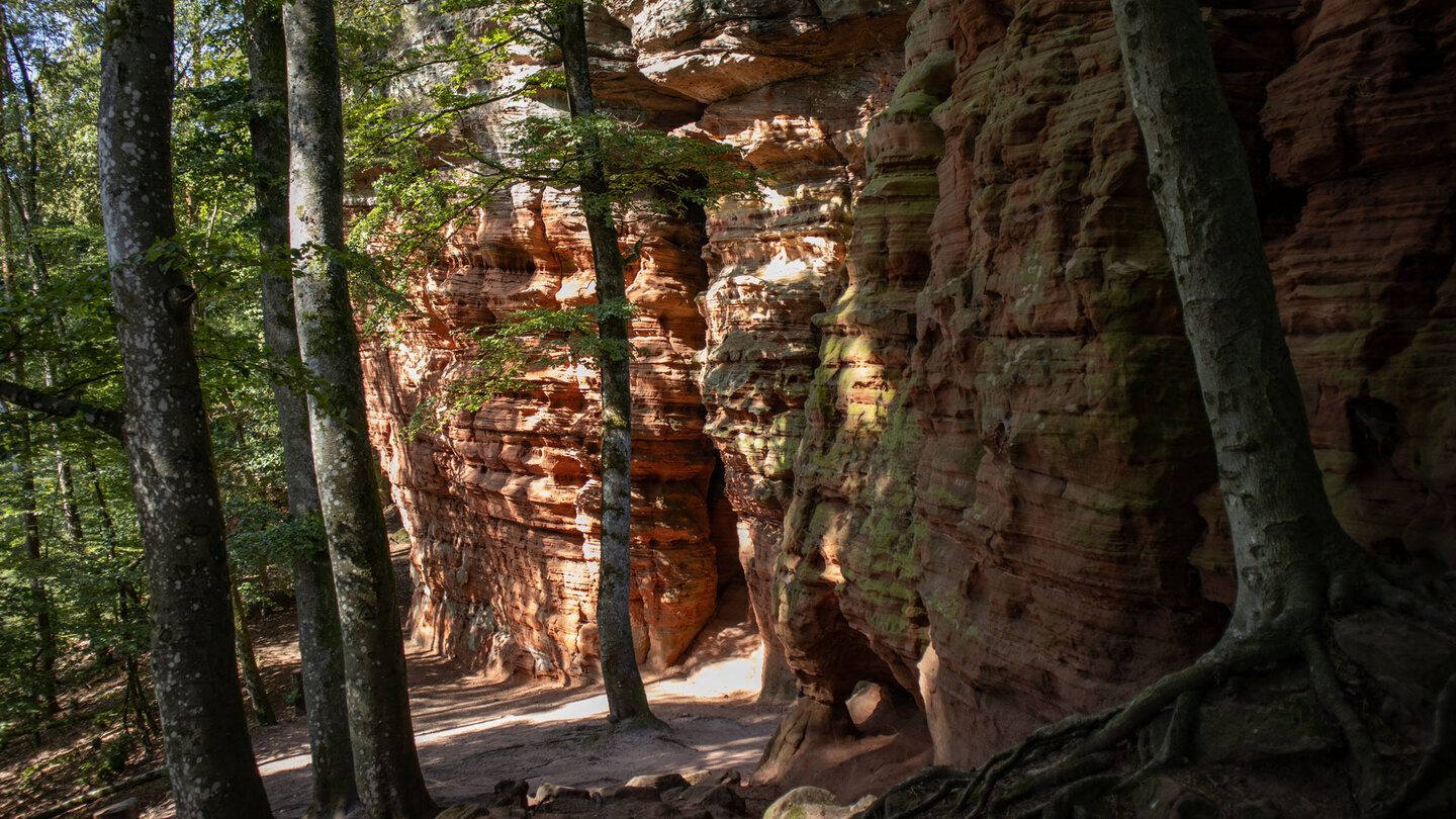 Blick entlang der Felstürme am Altschlossfelsen