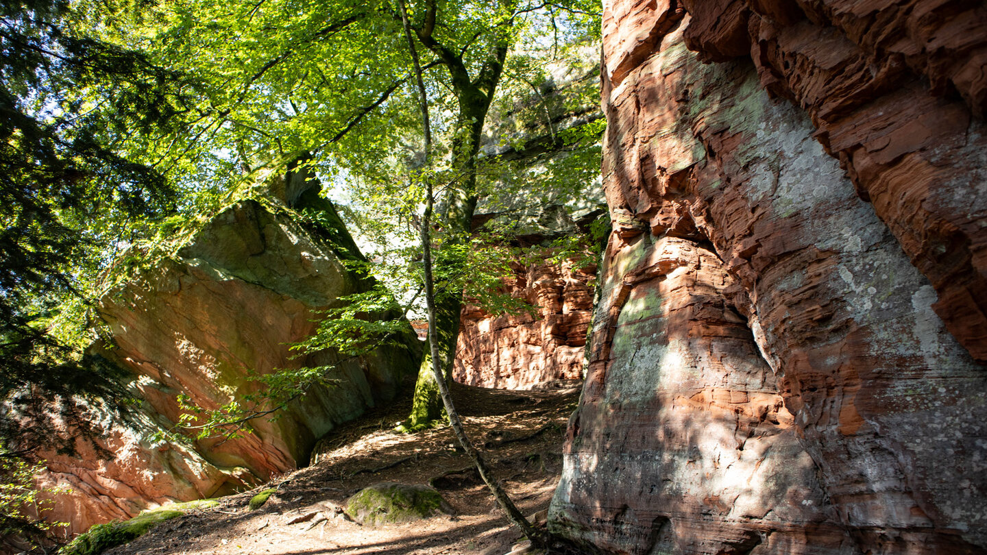 Wanderwege entlang des Riffs am Altschlossfelsen