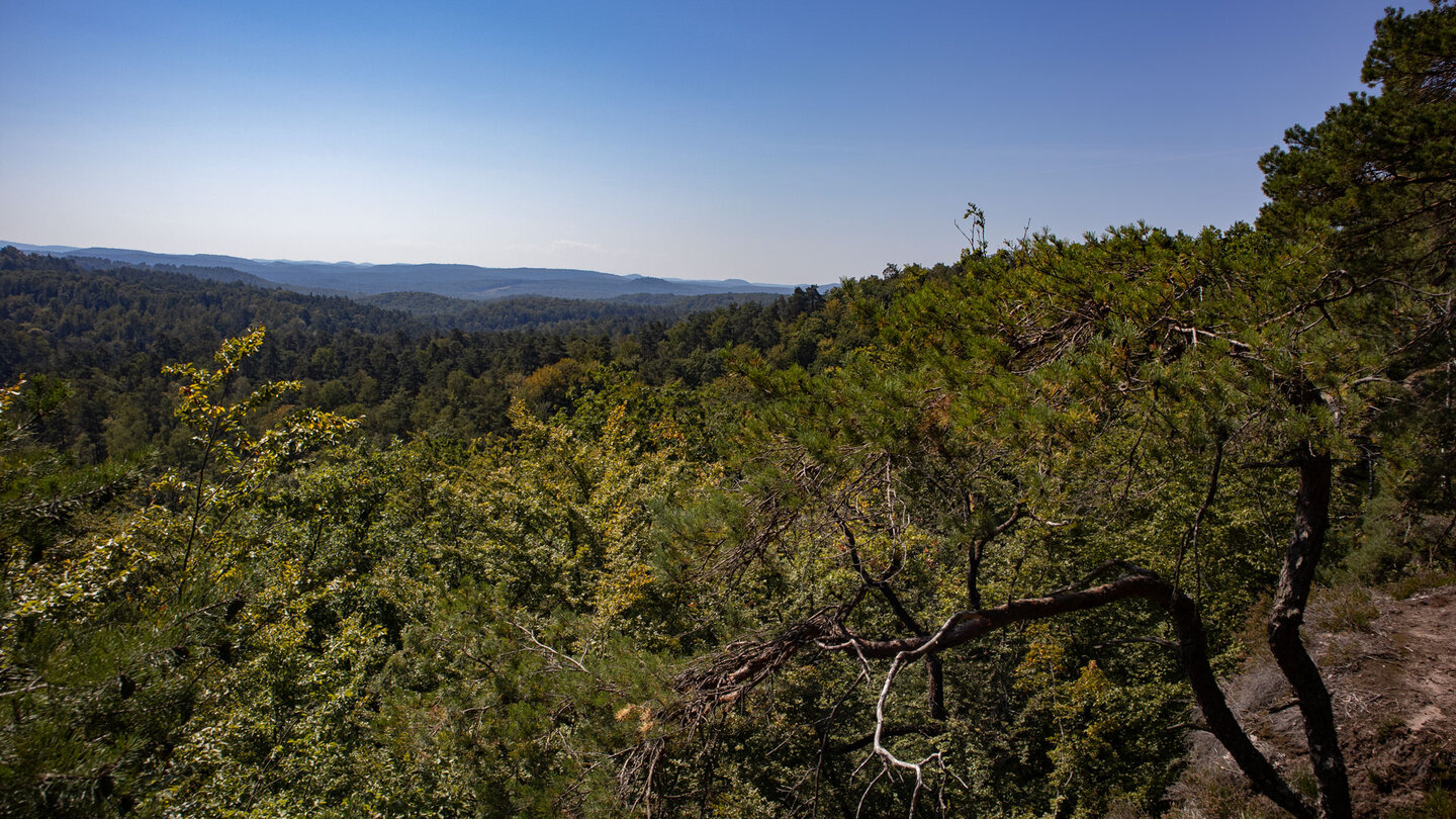 Blick vom Kamm des Altschlossfelsens