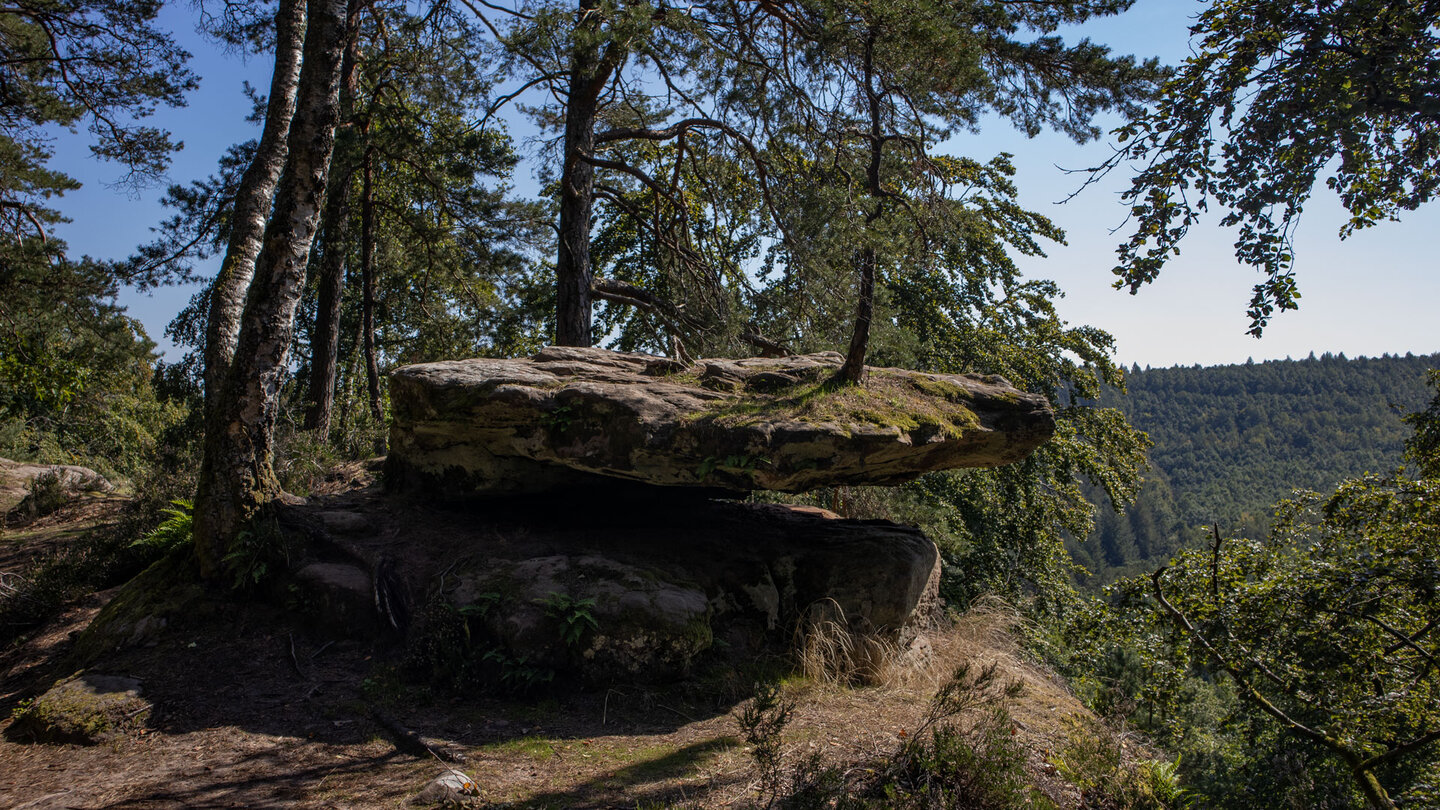Blick vom Plateau des Altschlossfelsens Blick vom Plateau des Altschlossfelsens
