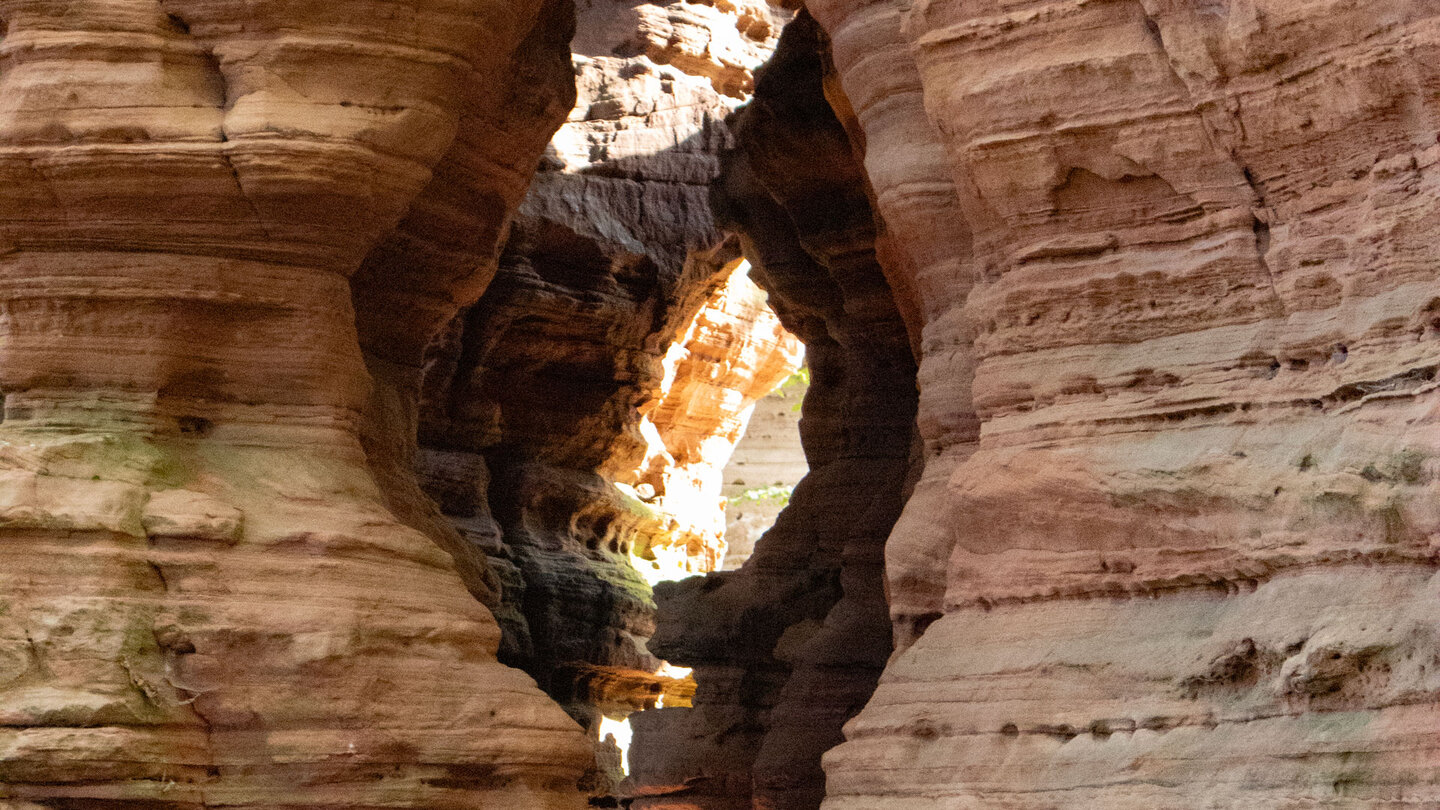 Felsglühen am Altschlossfelsen