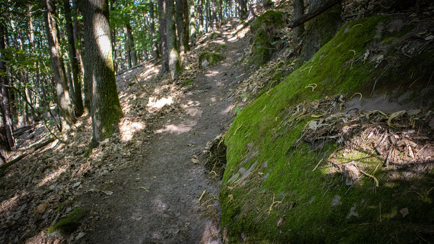 Moospolster überziehen die Felsen entlang des Rödelsteinpfads