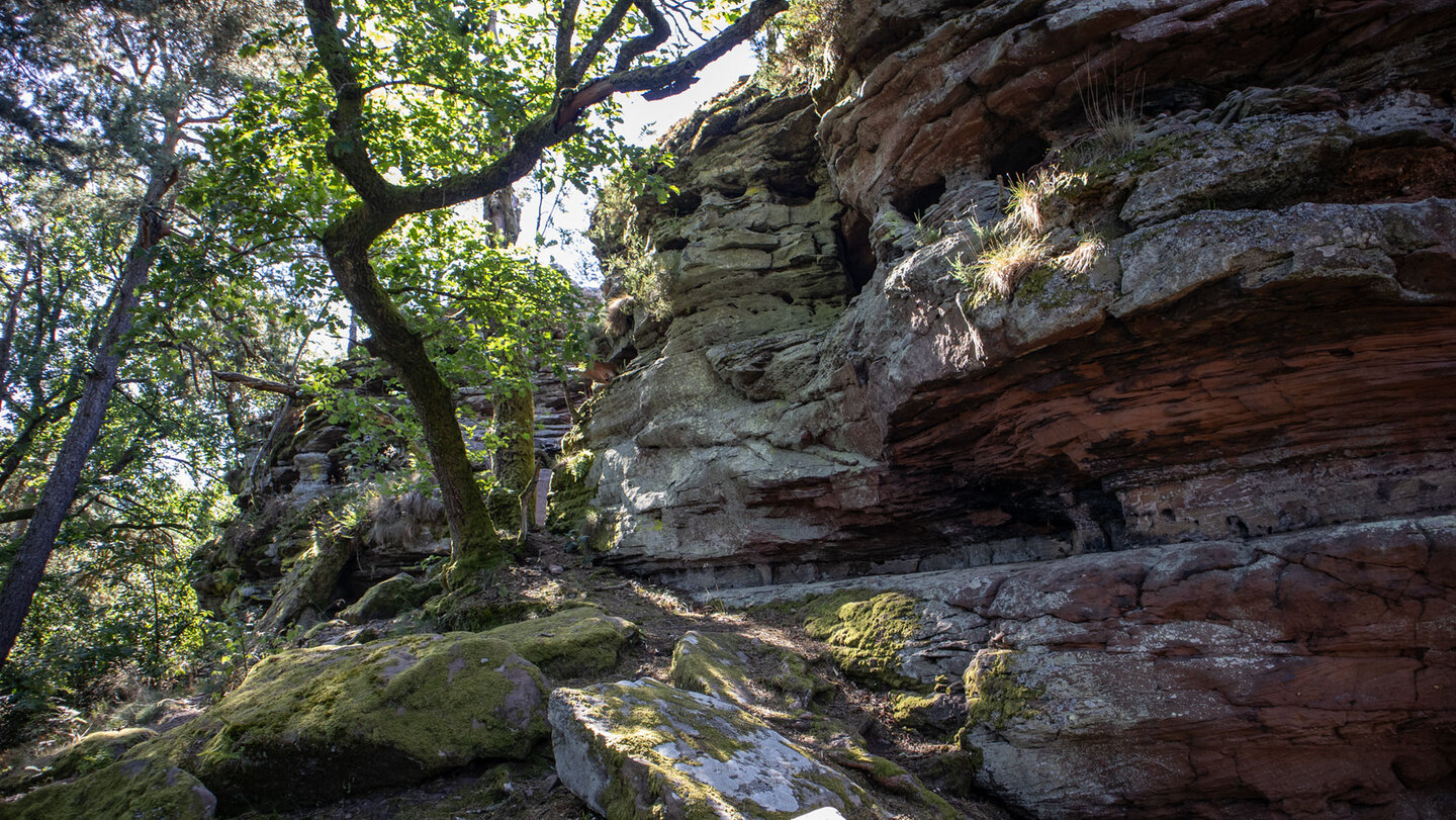 Zerklüftete Felsformationen prägen den Westfels des Rödelstein.