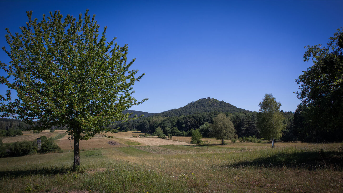 Blick zur Burgruine Lindelbrunn auf Schlossberg