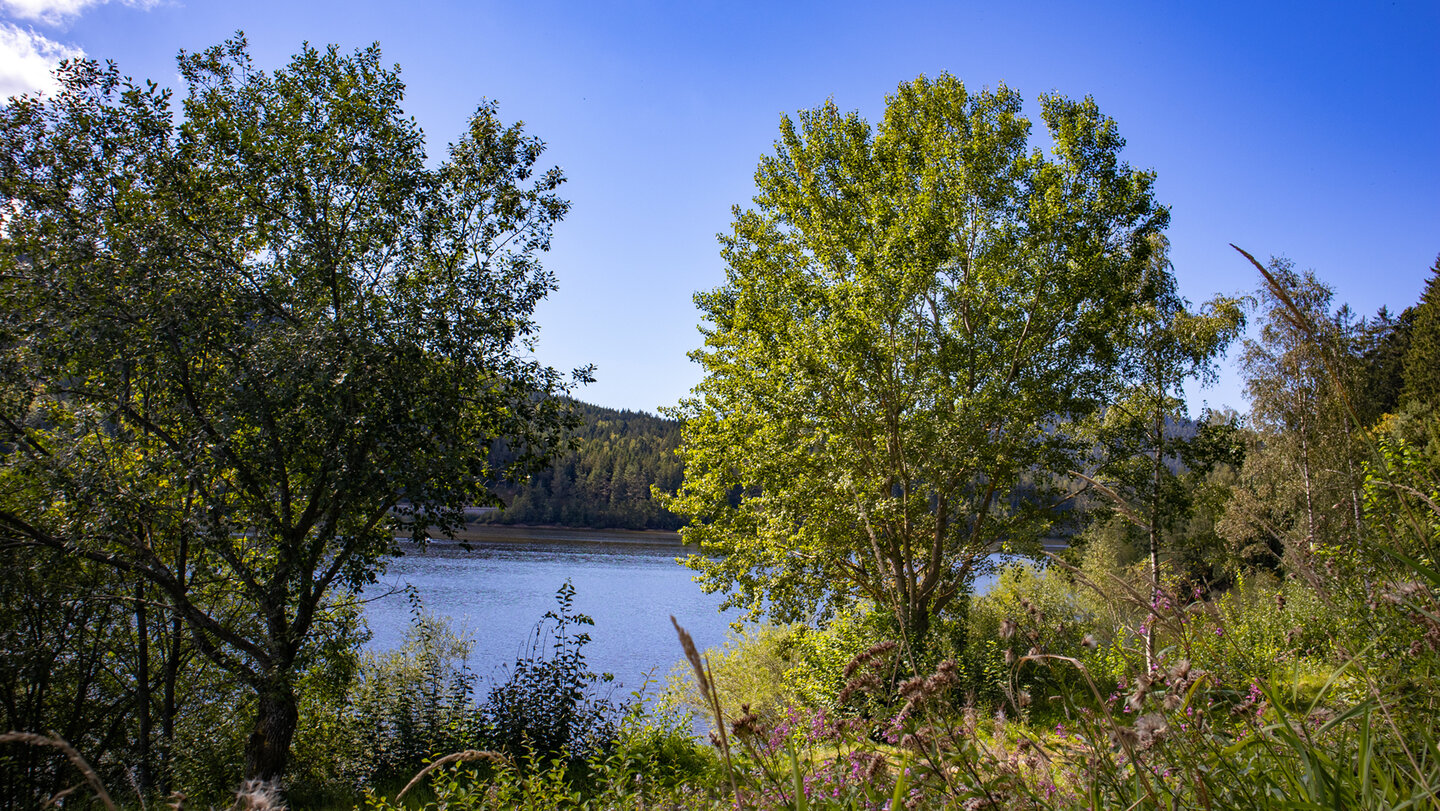 Wasser des Stausees Schwarzenbach-Talsperre