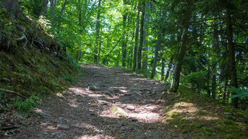 Wanderweg zur Burg Ramburg auf dem Schlossberg