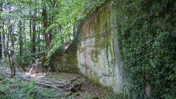 der Halsgraben der Ruine Ramburg