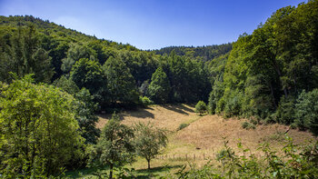 Wiesental bei Ramberg