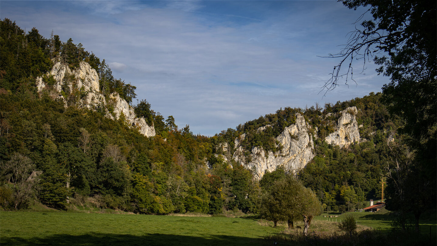 Panoramablick auf eine Felsschlucht mit Wiese im Vordergrund im Donautal bei Mühle Bronnen