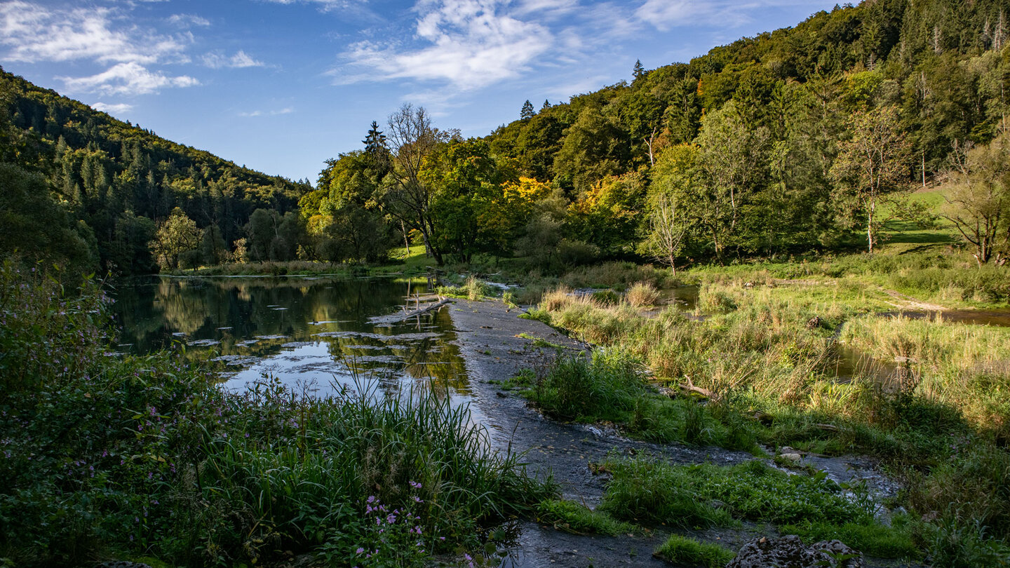 Flache Betonschwelle im ruhigen Wasser der Donau, umgeben von Wiesen und Wald