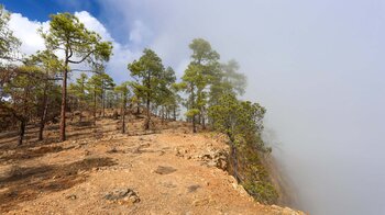 Wolken an den Steilwänden des Risco Las Yedras