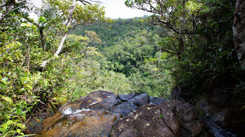 an den Alexandra Falls im Black River Gorges Nationalpark