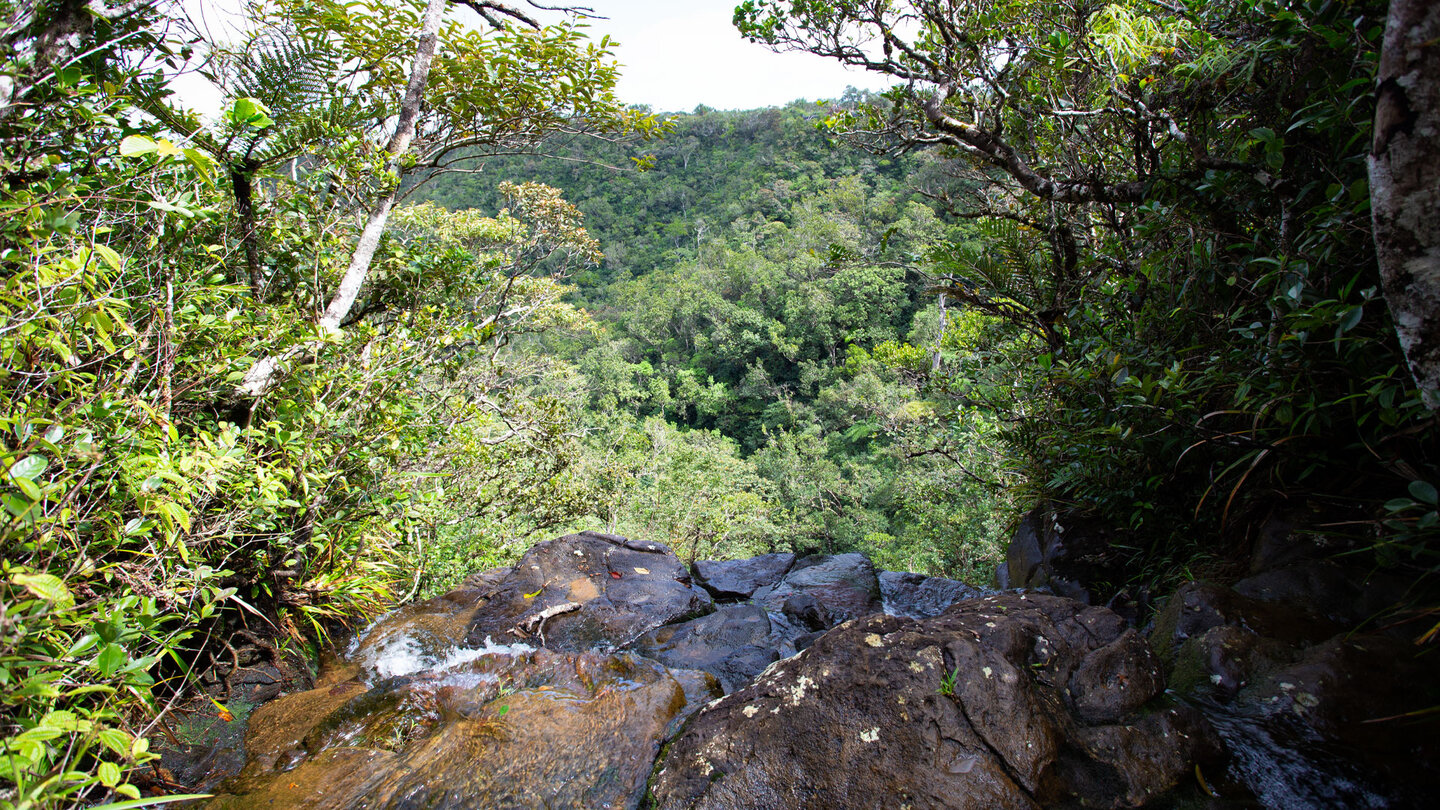 an den Alexandra Falls im Black River Gorges Nationalpark auf Mauritius an den Alexandra Falls im Black River Gorges Nationalpark
