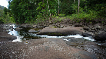 entlang des Black River am gleichnamigen Trail im Black River Gorges Nationalpark