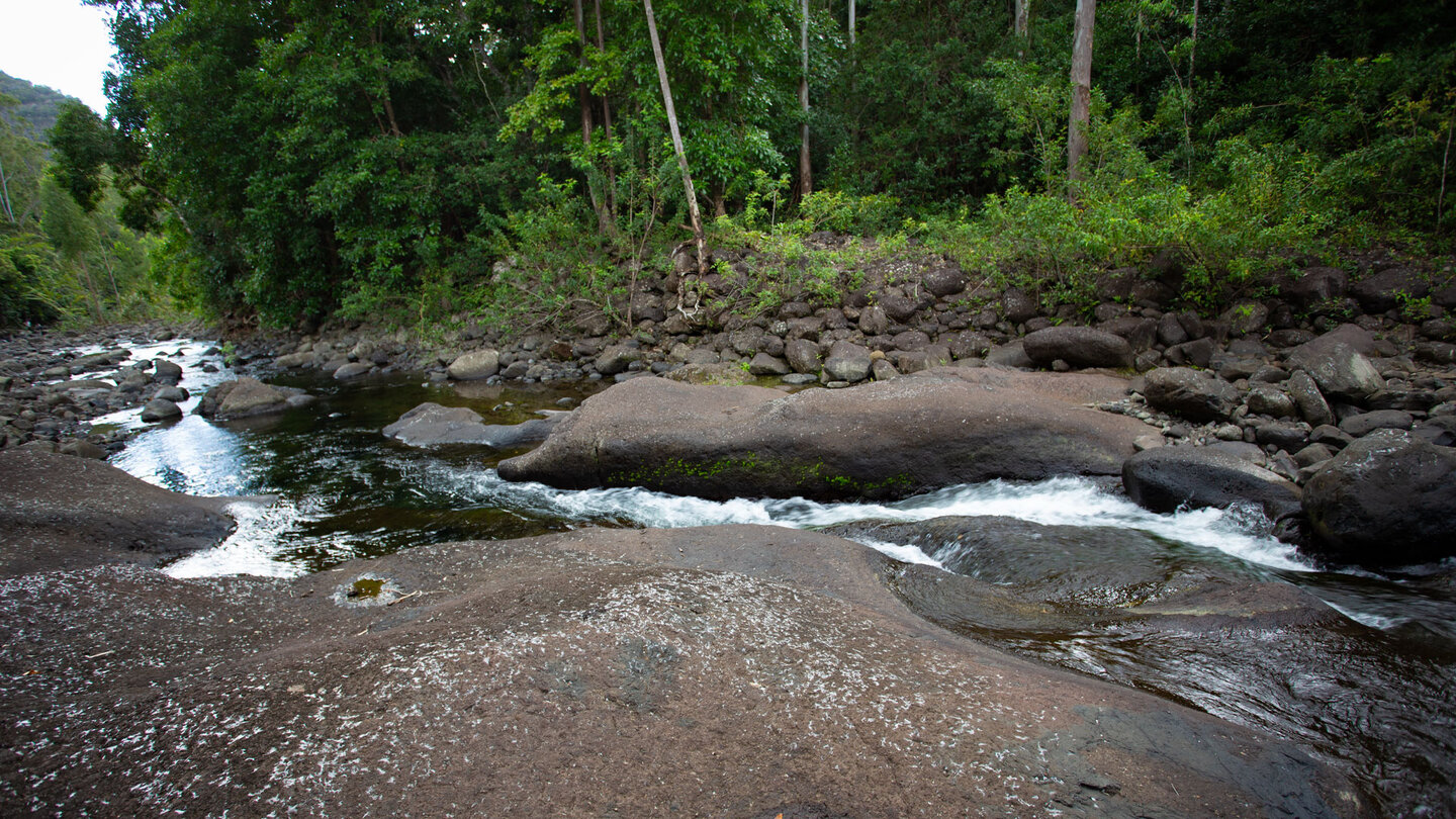 entlang des Black River am gleichnamigen Trail im Black River Gorges Nationalpark auf Mauritius entlang des Black River am gleichnamigen Trail im Black River Gorges Nationalpark