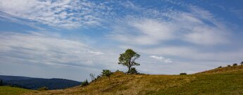 Genießerpfad Ibacher Panoramaweg
