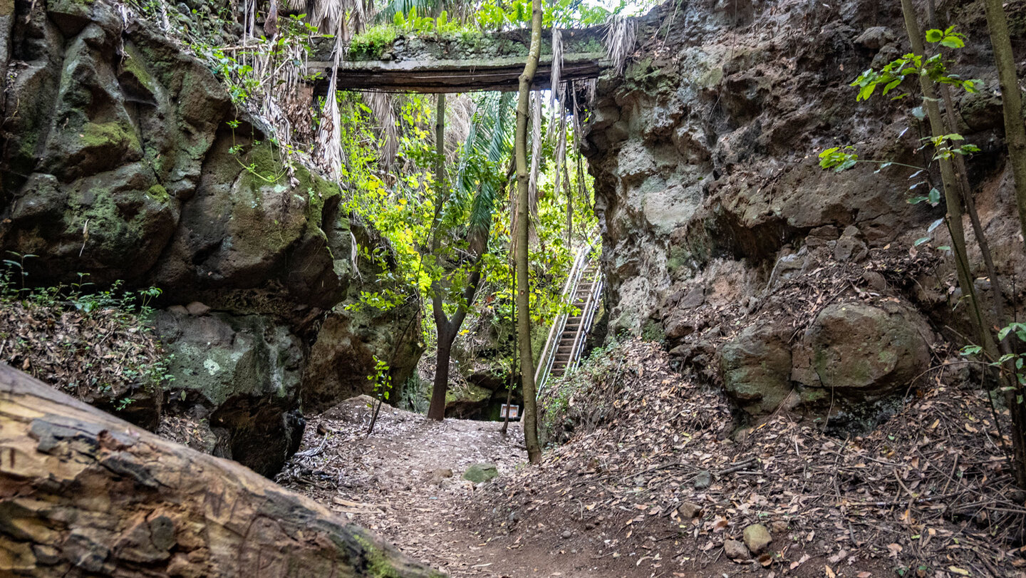 Wanderweg durch die enge Álamo-Schlucht zwischen Felswänden.