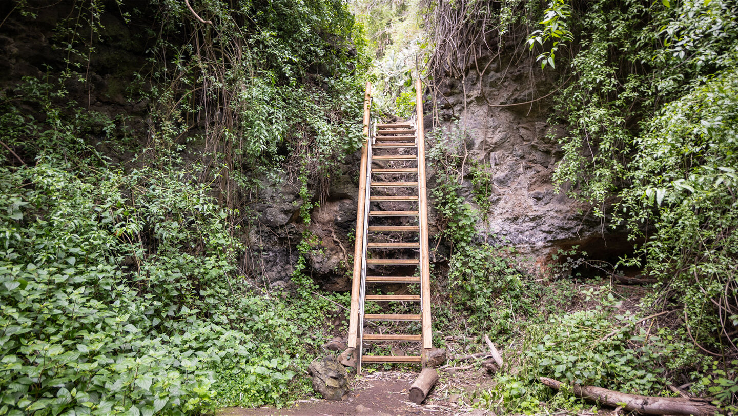 Kleiner als die erste, aber nicht weniger eindrücklich: Die zweite Treppe führt hinauf zum letzten Abschnitt der Álamo-Schlucht.