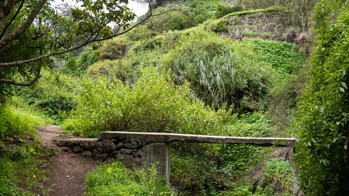 Trockensteinmauern stützen die alten Anbauflächen im Barranco del Álamo.