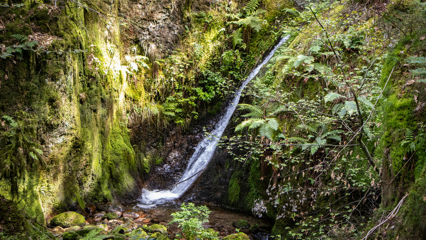 Fallstufe an den bemoosten Felsen bei den Edelfrauengrab Wasserfällen