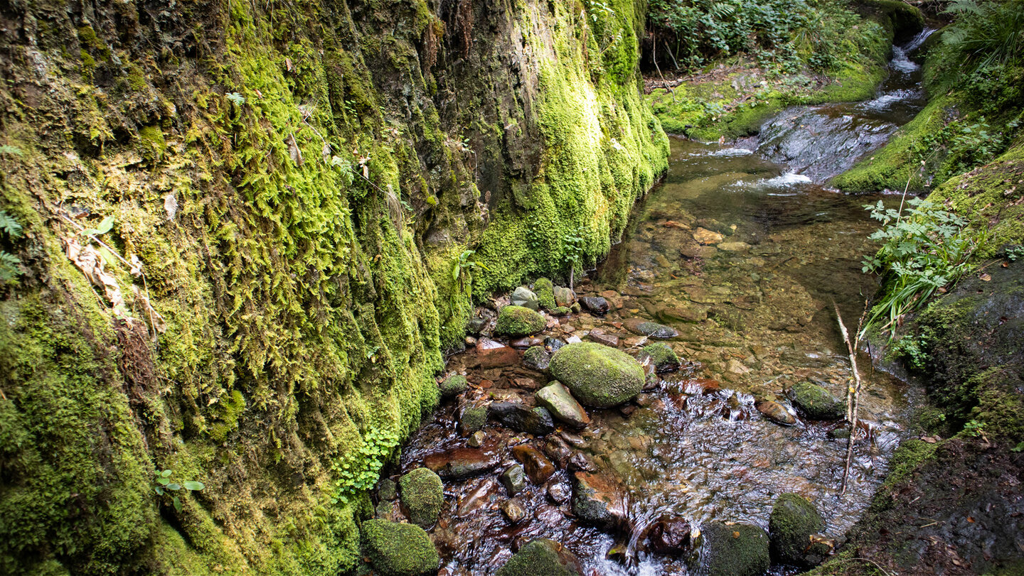 Felsen bei den Wasserfällen bei Ottenhöfen