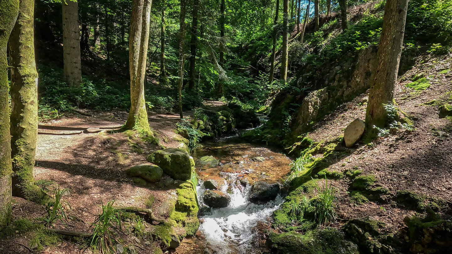 Wanderweg zum Deglerbad entlang des Gottschlägbachs
