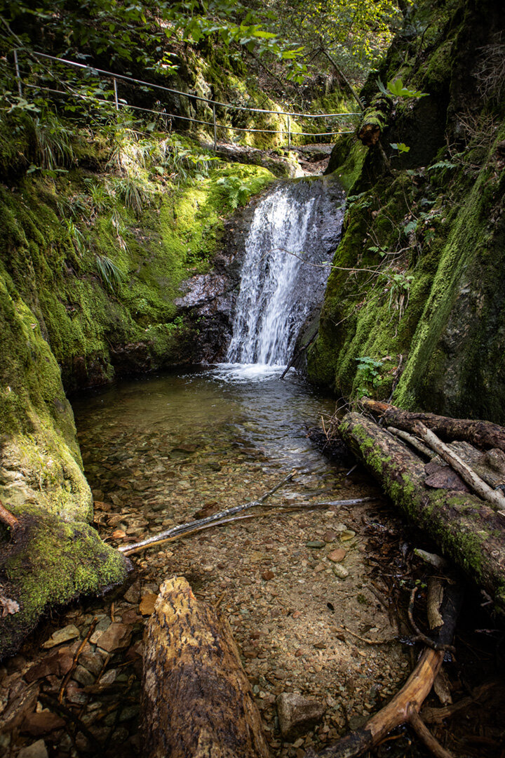 Wanderweg führt entlang des Gottschlägerbachs