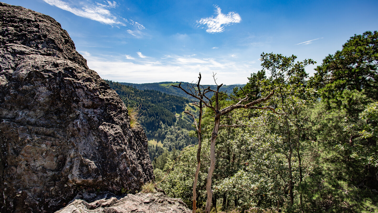 Schwarzwald vom Karlsruher Grat bei Ottenhöfen