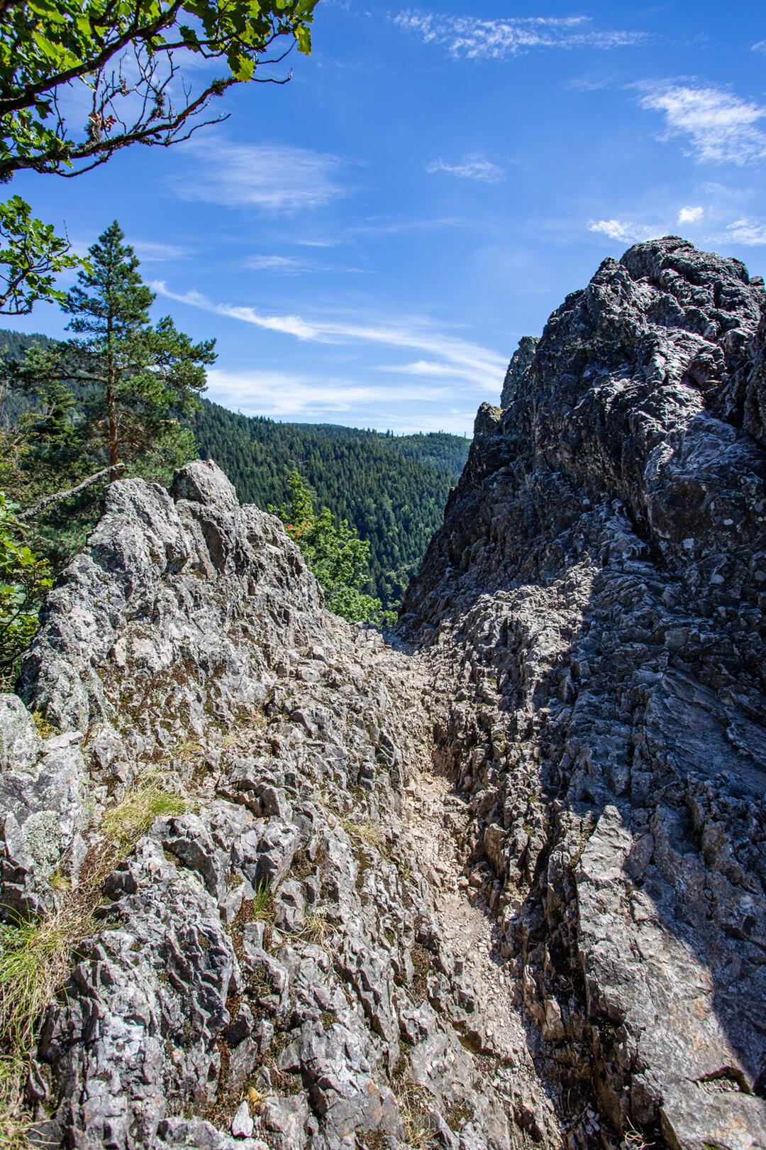 schroffe Felsen des Eichhaldenfirsts
