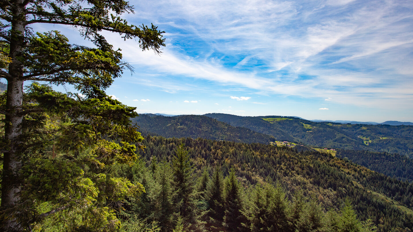 Blick über den Schwarzwald zur Bosensteiner Alm