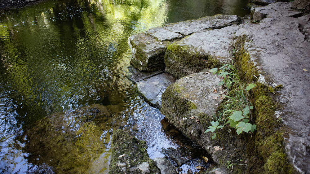 Die Felsen am Wutachaustritt