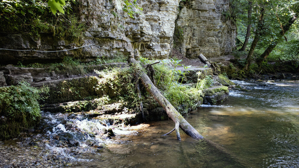 wandern am gesicherten Wutachaustritt