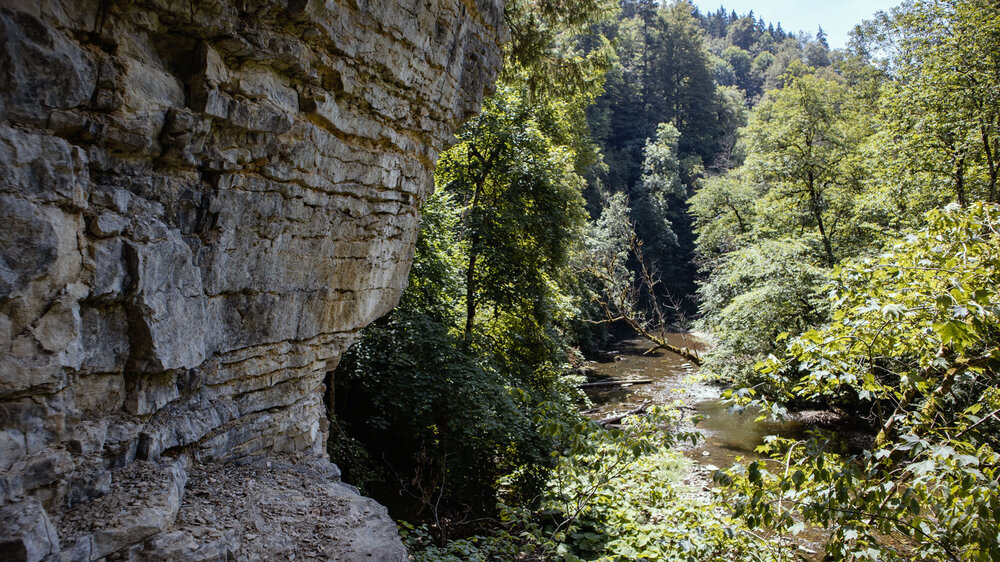 Ausblick auf die Wutach auf dem Schluchtensteig Ausblick auf die Wutach auf dem Schluchtensteig