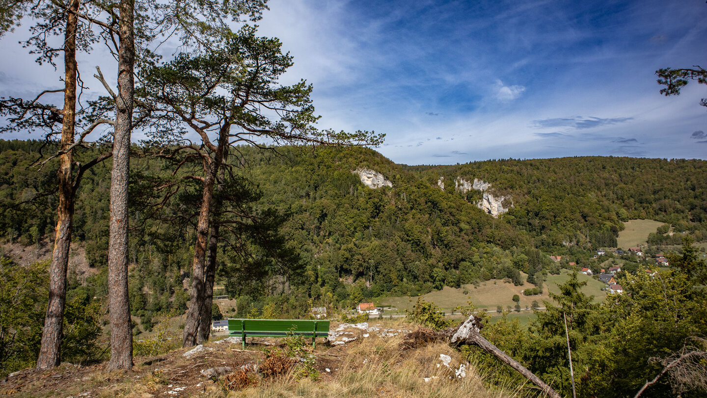 Aussichtspunkt Birkensteigfels: Blick über Wiesen und Dorf Neidingen zu hellen Felsformationen auf der gegenüberliegenden Talseite