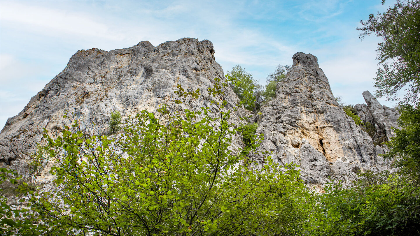 Mächtige graue Kalkfelswand der Alten Hausener Wand mit Eigerturm als Felsturm rechts, davor grünes Laub bei Hausen im Tal