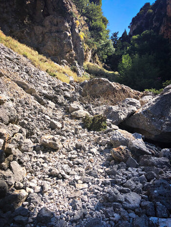 steiniger Wanderpfad in der Fygou-Schlucht