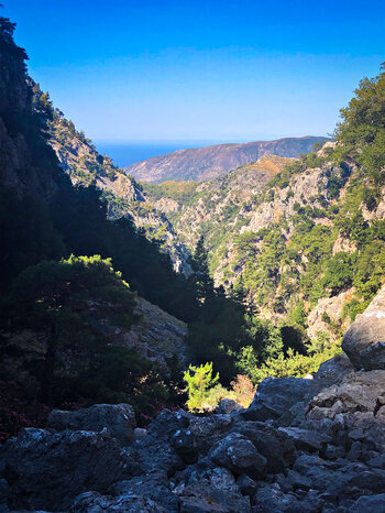 Blick in die Figou Schlucht auf Kreta