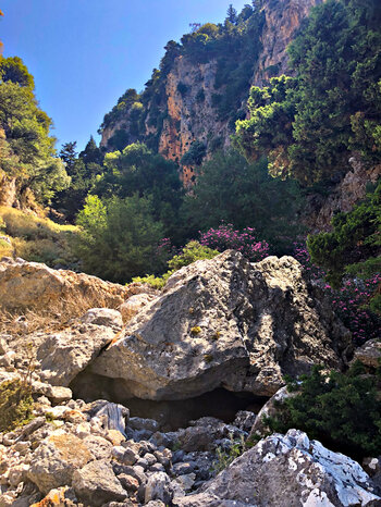 Trockenbachbett in der Figiu Schlucht mit bunten Oleanderbüschen