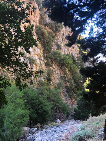 steile Felswände am Wanderweg durch die Figou Schlucht auf Kreta