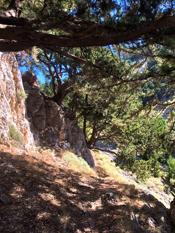 Schattenplatz auf dem Wanderweg durch die Figou Schlucht auf Kreta