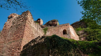 die Ruine der Burg Drachenfels