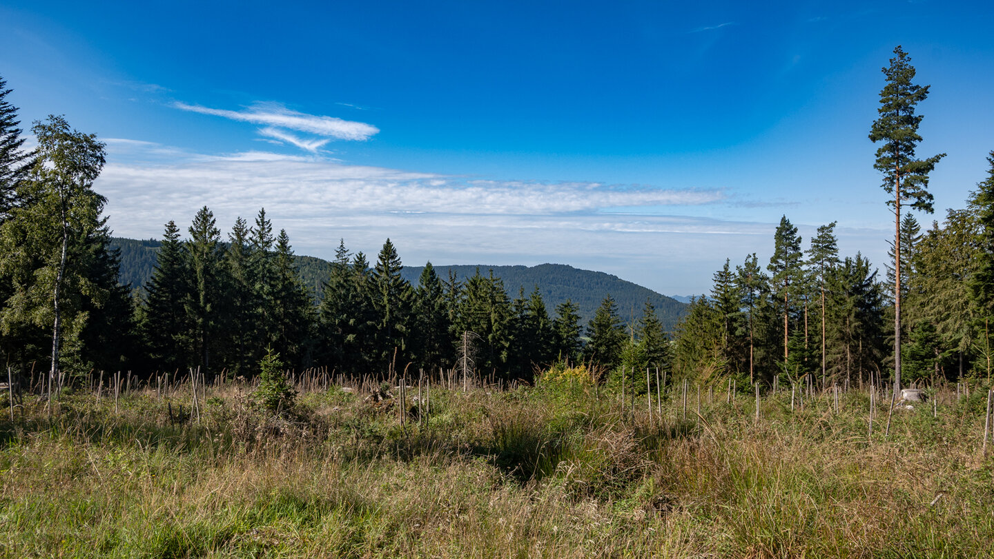Schwarzwaldimpressionen entlang der Albtal.Aussichten