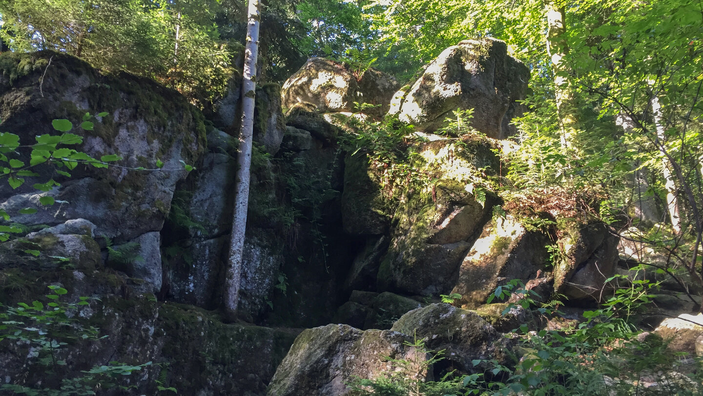 Felsformationen im Albtal
