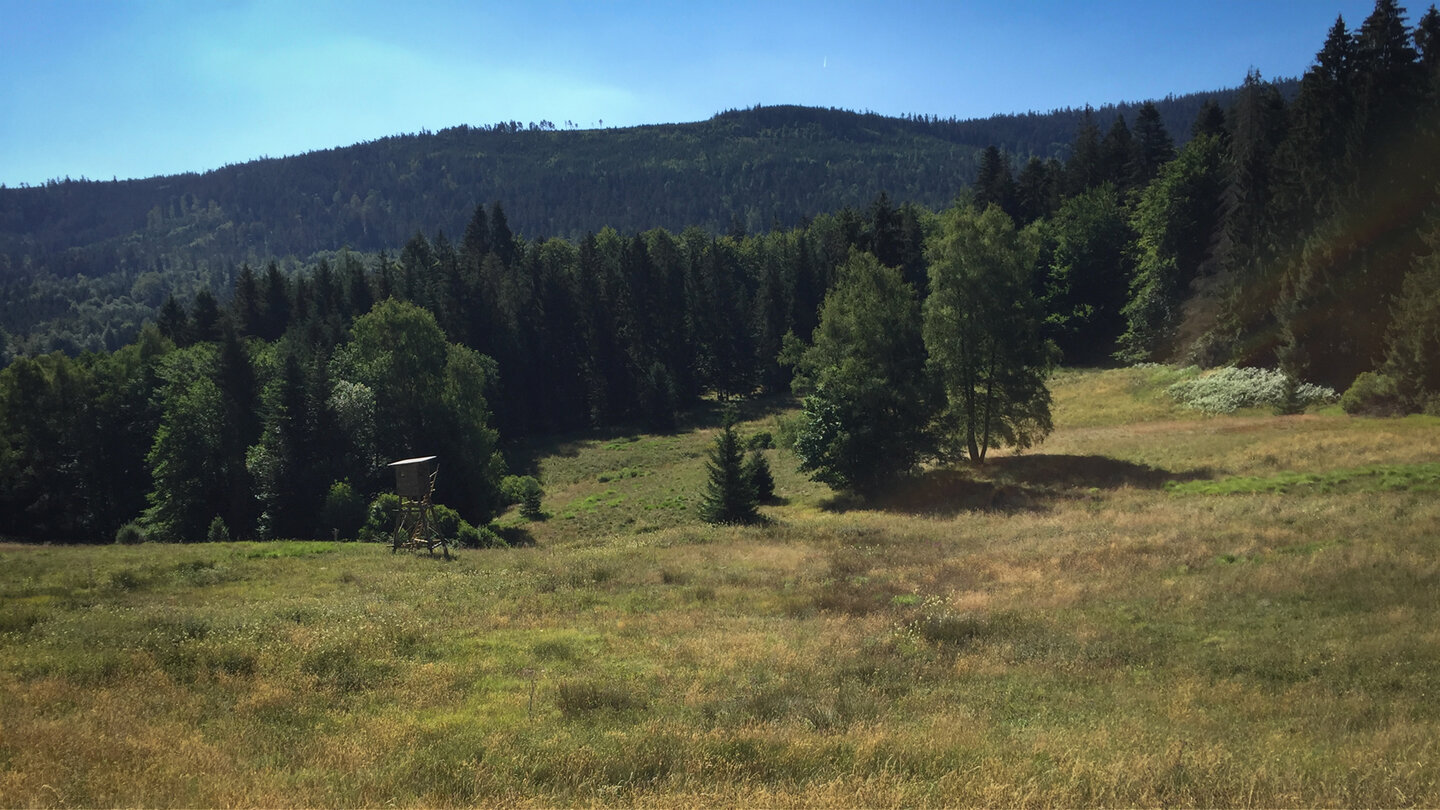 Wanderroute an den Vogelwiesen im Albtal