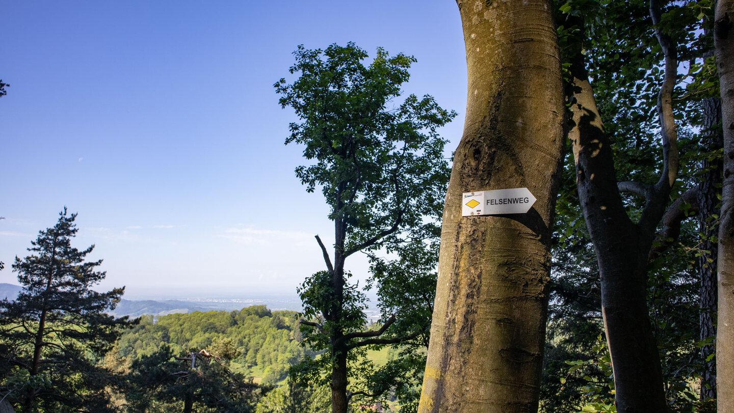 der Ottenhöfener Felsenweg führt durch die Felsgruppe des Palmfelsen