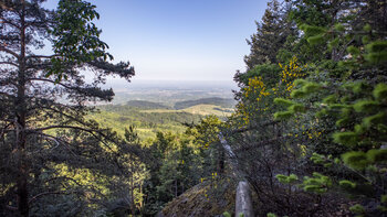 Ausblick vom Palmfelsen in die Rheinebene