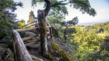 Geländersicherung am Palmfelsen
